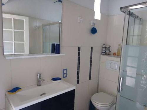 une petite salle de bain avec toilettes et lavabo dans l'établissement roxane Appartement F1 Bis Face La Mer, à Collioure