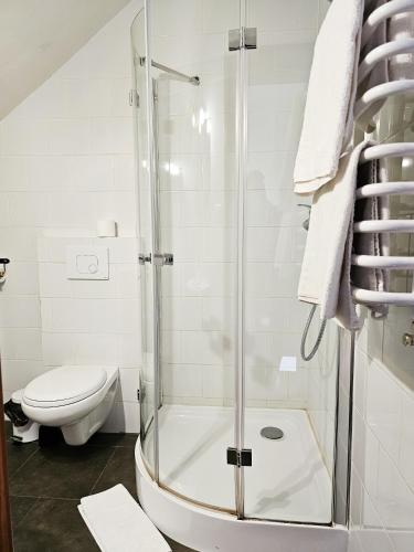 a bathroom with a shower and a toilet at Gościniec Gryszczeniówka & SPA in Wargowo