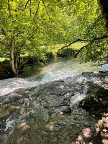 a stream of water with trees in the foreground at Ferienwohnung Christine in Gauingen