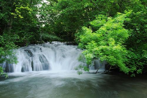 a waterfall in the middle of a river with trees at Ferienwohnung Christine in Gauingen