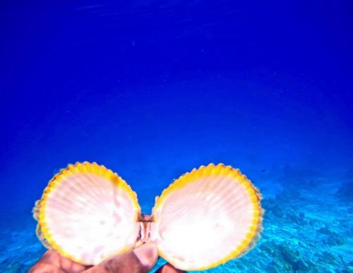 a person holding up a pair of sun glasses at Wind Breeze Sunset View Inn in Guraidhoo
