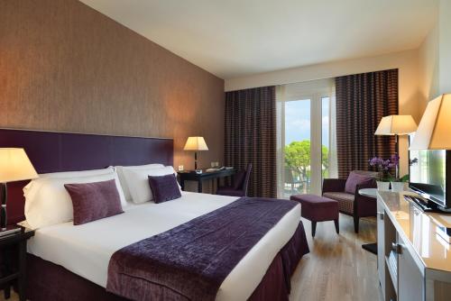 a hotel room with a large bed and a television at Hotel Nazionale in Desenzano del Garda