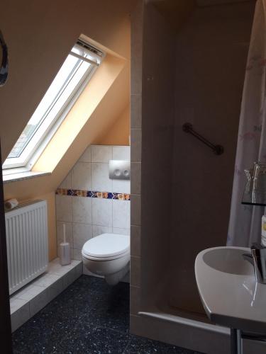 a bathroom with a toilet and a sink and a skylight at Hotel Meereswoge in Cuxhaven