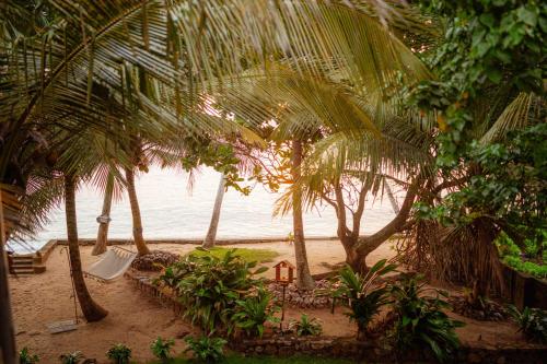 a view of a beach with palm trees and the ocean at Amuura Beach Villa in Beruwala