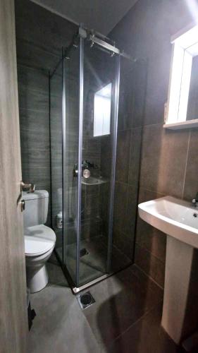 a bathroom with a shower and a toilet and a sink at Vv Cosy Host 2 private parking in Larisa