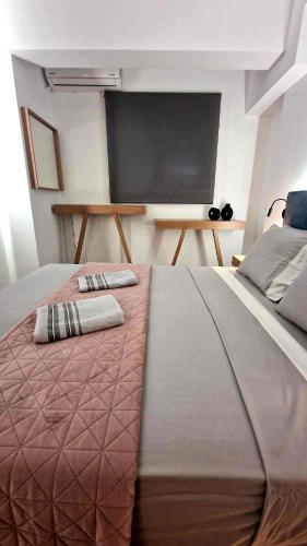 Vv Cosy Host 2 private parking