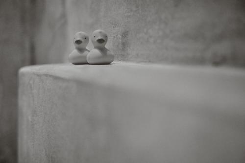 two toy birds sitting on top of a table at Chrysalis Boutique - Adults Only in Astypalaia Town