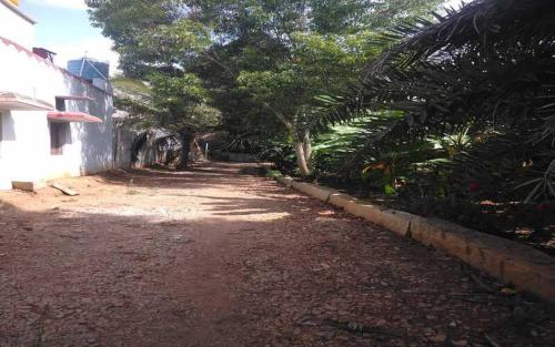 uma estrada de terra ao lado de uma casa com árvores em Mango Ville em Bangalore