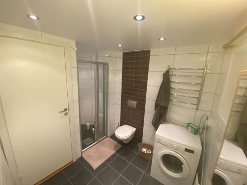 een kleine badkamer met een toilet en een douche bij Koslig leilighet i Bergens smørøye in Bergen