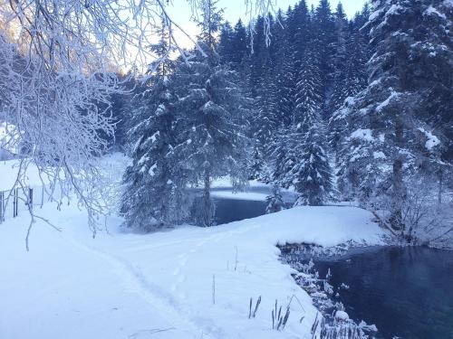 a snow covered forest with a river and trees at Ferienwohnung Aignerhof in Schellgaden