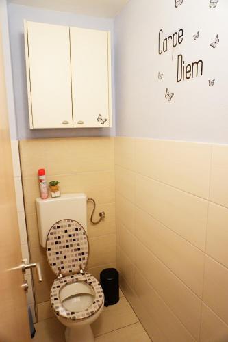 a bathroom with a toilet with a cabinet above it at Ferienwohnung Aignerhof in Schellgaden