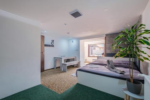 a bedroom with a bed and a potted plant at Apar7mán Jizerské hory in Hejnice