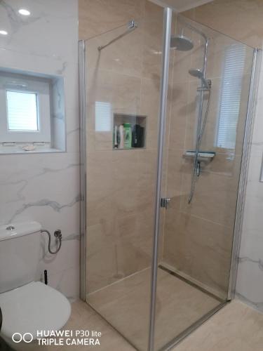 a shower with a glass door in a bathroom at Silvester Drevenica pod Horou in Vyšná Korňa