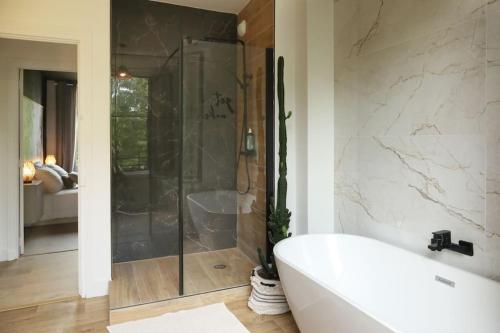 uma casa de banho com uma banheira e um chuveiro em vidro. em Appartement Le Perchoir by La Boîte En Plus em Senlis