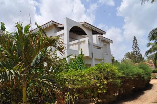 Κήπος έξω από το Appartement à Saly