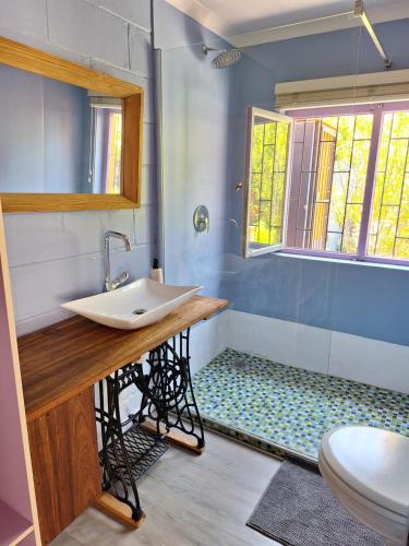 a bathroom with a sink and a toilet at Japie's Yard Wanderer's Inn in Swakopmund