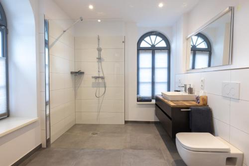 uma casa de banho com um chuveiro, um WC e um lavatório. em Bed & Bahn Seesen em Seesen