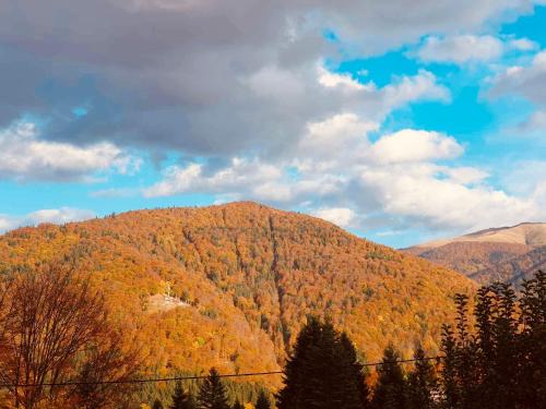 een uitzicht op een berg met herfstbladeren erop bij Iepurasul Sinaia in Sinaia