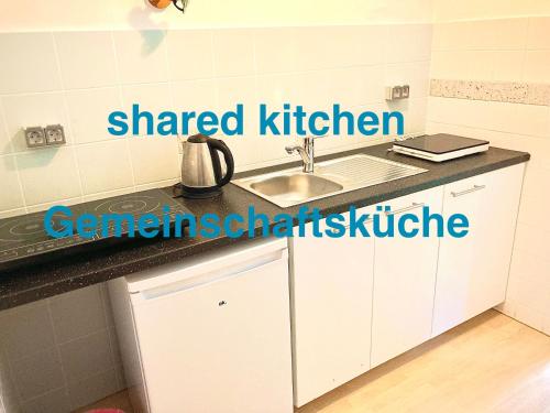 eine Küche mit einer Spüle und einer Theke in der Unterkunft Apartment Liesingbach in Wien