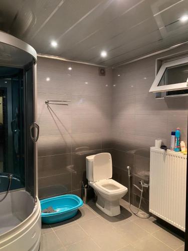uma casa de banho com um WC, um chuveiro e uma banheira em Homes em Tsqnetʼi