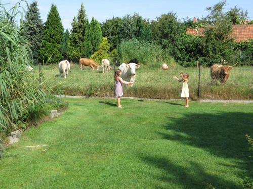 two little girls standing in a field with cows at Spreewaldferienwohnungen Stein - Ferienwohnungen in Byhleguhre-Byhlen