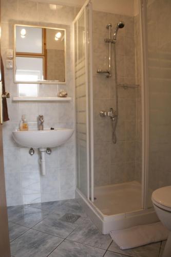 a bathroom with a sink and a shower and a toilet at House Baglija in Lumbarda