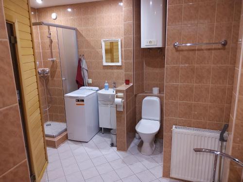 a bathroom with a toilet and a sink and a shower at Gonsiori 3 City Center Apartment in Tallinn