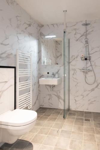 a bathroom with a toilet and a sink and a shower at Fluithoekhoeve in Koksijde
