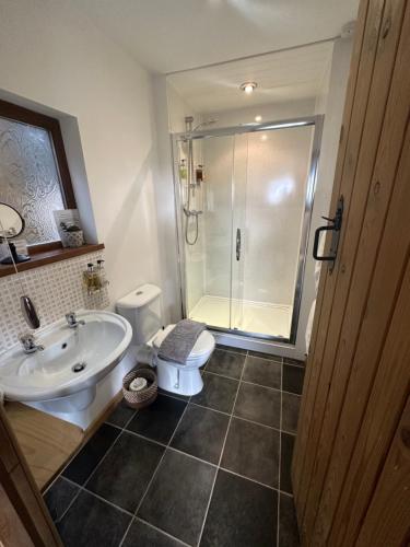 a bathroom with a shower and a toilet and a sink at Swansea Log Cabin in Pontardawe