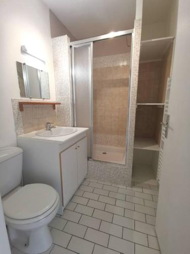 une salle de bain avec toilettes, lavabo et douche dans l'établissement Studio indépendant + jardin, à La Frette-sur-Seine