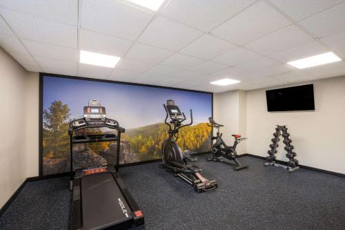 a gym with two tread machines and a large wall mural at Clarion Pointe Sevierville-Pigeon Forge in Sevierville