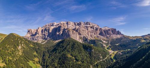 a large mountain with trees in front of it at Garnì La Grambla in Selva di Val Gardena