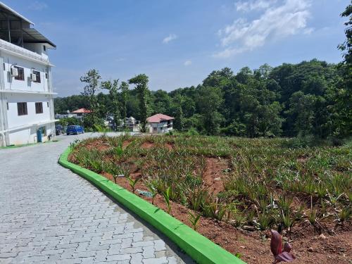 a garden with a green curb next to a building at Shamrock Inn in Cochin