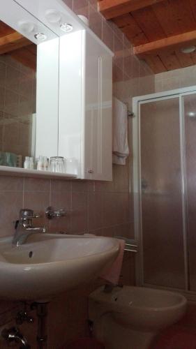 a bathroom with a sink and a shower and a toilet at Garnì La Grambla in Selva di Val Gardena