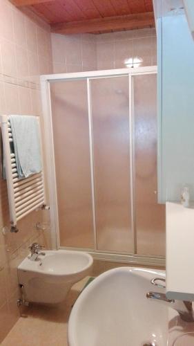 a bathroom with a shower and a sink and a toilet at Garnì La Grambla in Selva di Val Gardena