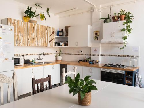 a kitchen with white cabinets and a table with a plant at Casanaga in Almáciga