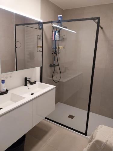 a bathroom with a shower and a white sink at Sailors' Park Villa Zephir in Nieuwpoort