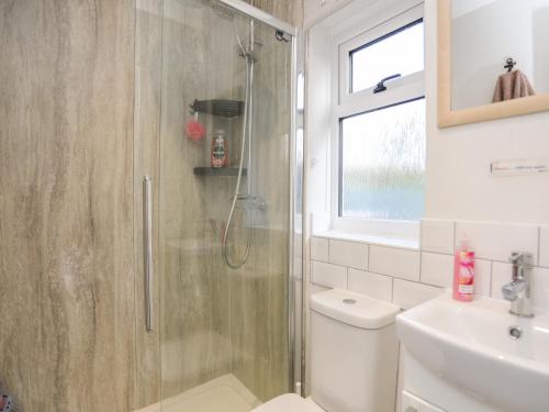 a bathroom with a shower and a toilet and a sink at Silva in Penmon