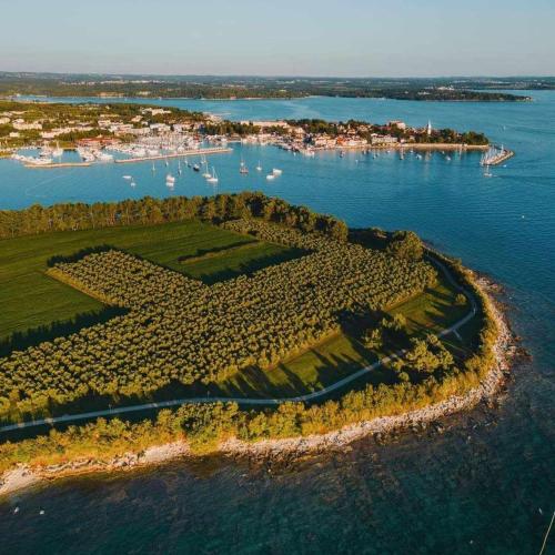 Apartmani Karpinjan - Novigrad