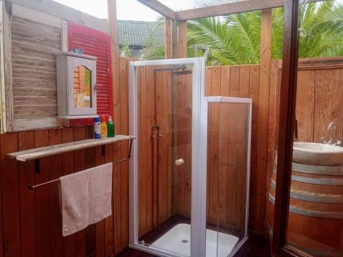 a bathroom with a shower and a sink at The Farmhouse B&B in Stellenbosch