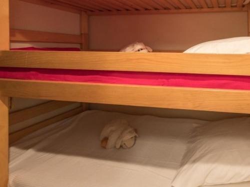 une personne dormant au-dessus d'un lit superposé dans l'établissement Studio au calme, 4 pers, proche pistes, balcon sud, parking privé, Monêtier-les-Bains - FR-1-330F-78, au Monêtier-les-Bains