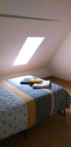 un lit dans une chambre avec une fenêtre dans l'établissement Chez Arnaud, à Schiltigheim