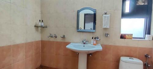 a bathroom with a sink and a toilet and a mirror at Poetry by the Hills - House Of Hive, Ramgarh, Mukteshwar, Nainital in Rāmgarh