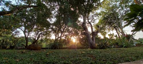Wind – Photos 3