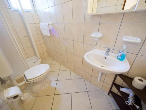 bagno con servizi igienici e lavandino di Apartments Ante-Gojko a Grebaštica