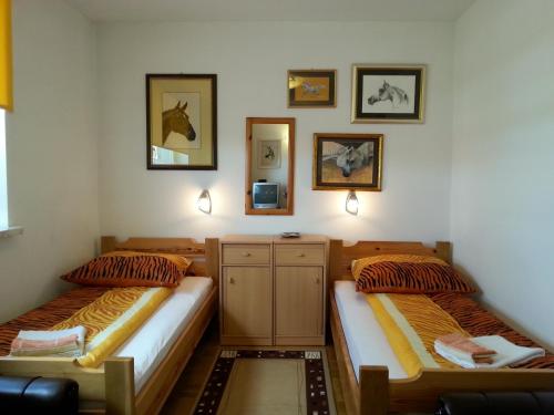 a room with two beds and a mirror at Noclegi Przy Stadninie in Janów Podlaski