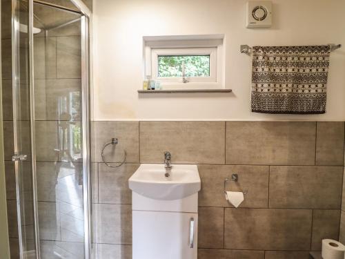 a bathroom with a sink and a shower at Chateau Petit in Caersws
