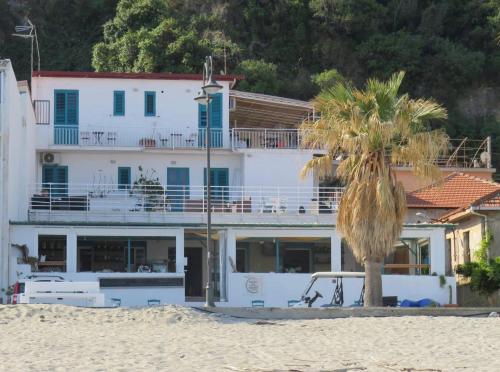 a white building on the beach with a palm tree at Sunset le Sirene in Scilla