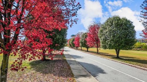 an empty road with red trees on the sides at Mountain Inn & Suites Flat Rock in Flat Rock