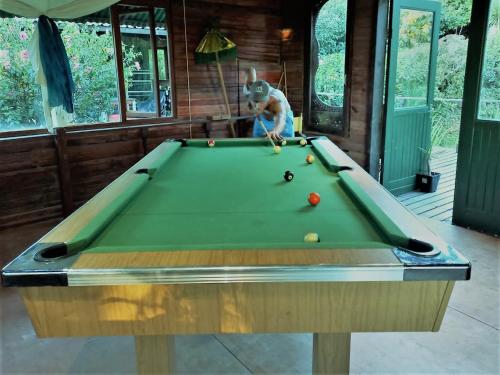 a dog sitting on top of a pool table at The Farmhouse Palm Tree Cabin in Stellenbosch